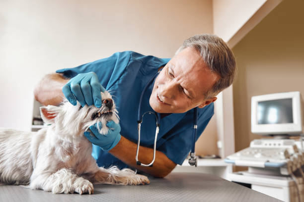 Best Same-Day Emergency Dentist in Tecumseh, OK